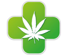 La marijuana biologique est utilisée depuis des millénaires pour ces vertus thérapeutiques