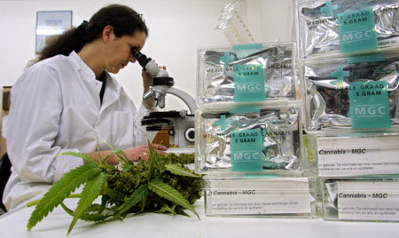 Le cannabis bio possède des vertus démontrées scientifiquement contre la douleur